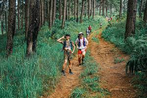 BIB: 
                            <button type="button" onclick="openModal(25663517)" class="btn btn-primary btn-sm float-right btn-popup" data-toggle="modal" data-target=".modal-high-quality">
                        <i class="fas fa-shopping-cart"></i> Add to Cart
                    </button>
                                            <button type="button" onclick="isThisMe(25663517, true)" class="btn btn-success btn-sm float-right btn-popup btn-isme hidden" data-toggle="tooltip" data-placement="bottom" title="นี่คือรูปของคุณใช่ไหม คลิกที่นี่เพื่อเอาเข้าอัลบั้ม">
                        <i class="fas fa-plus"></i> Add to album
                    </button>
                    <button type="button" onclick="isThisMe(25663517, false)" class="btn btn-warning btn-sm float-right btn-popup btn-isnotme hidden">
                        <i class="fas fa-ban"></i> Remove from album
                    </button>